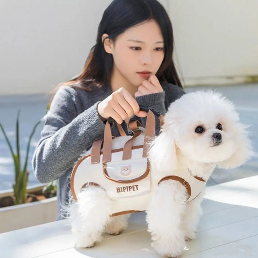 PetVoyager™